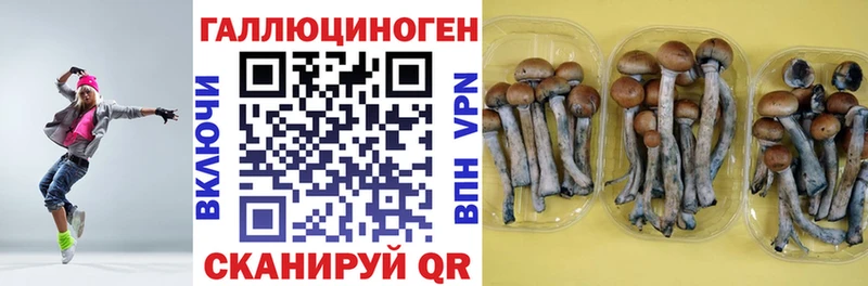 Купить  Сорочинск  Псилоцибиновые грибы Magic Shrooms 
